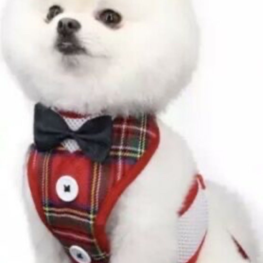 NWOT Small Dog Cat Breathable Mesh Harness Vest Collar chest strap Leash set. L